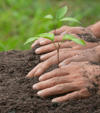 Hands on Soil
